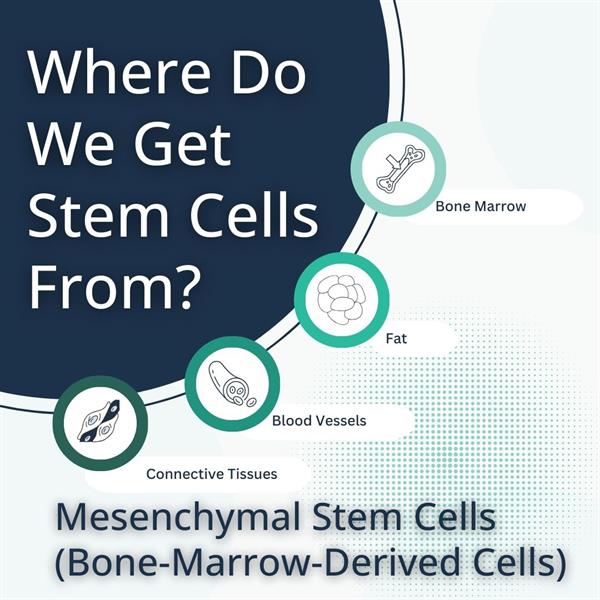 KRMC - Where do they get adult stem cells from.jpg