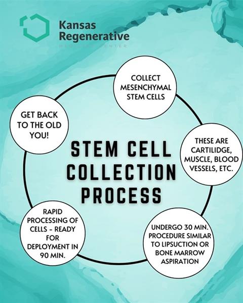 Where KRMC collects stem cells from