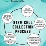 Stem Cell Collection at KRMC: Fast, Safe, and Simple
